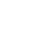 Brickwall Icon